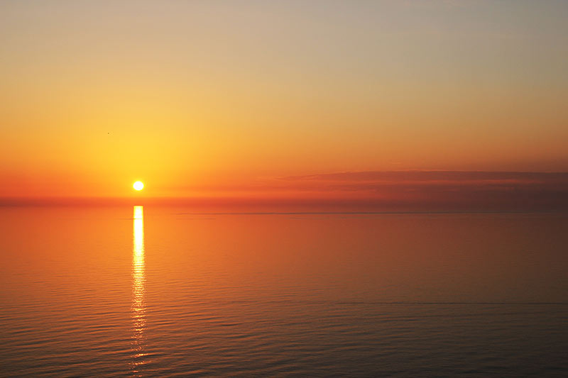 Person Centred Counsellor brighton