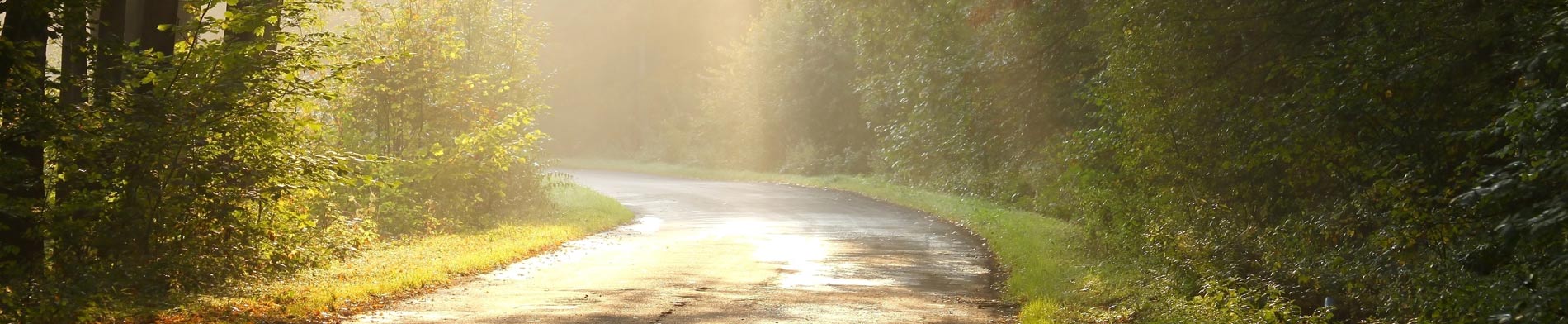 sarah rowat Person Centred Counsellor brighton