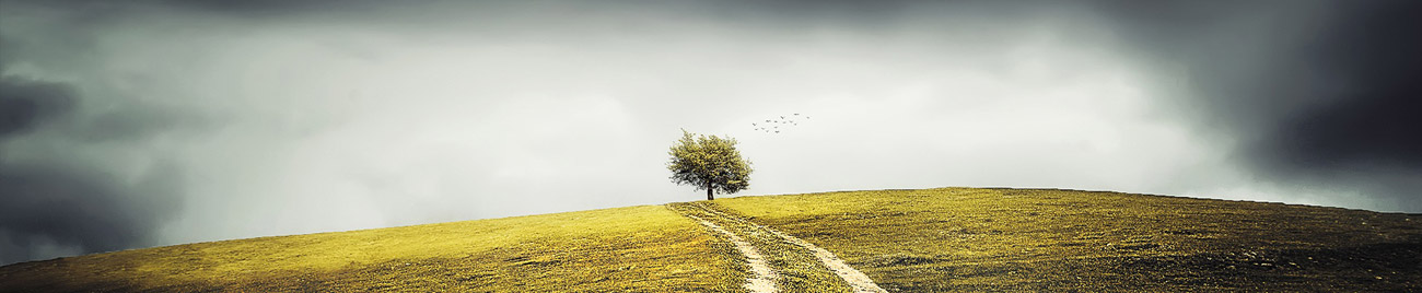 addiction counselling brighton sussex