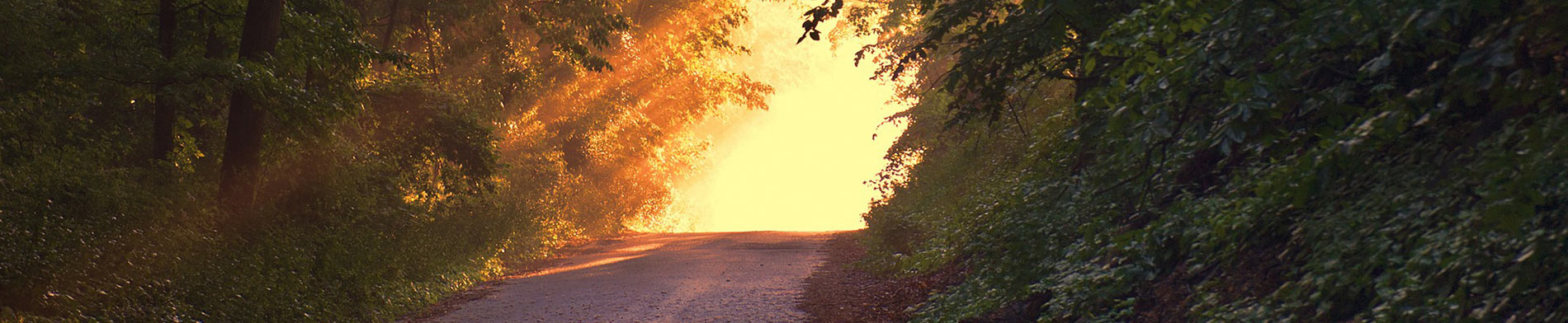 Bereavement Counselling in brighton