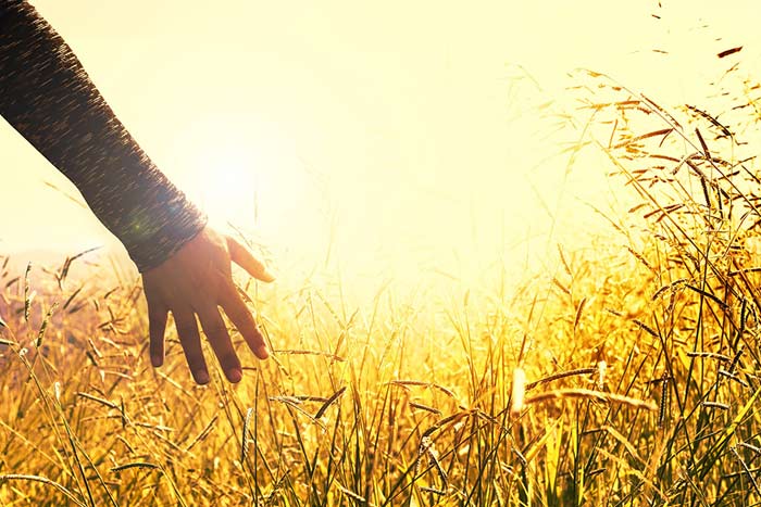 brighton hove counsellor brighton hove counsellor