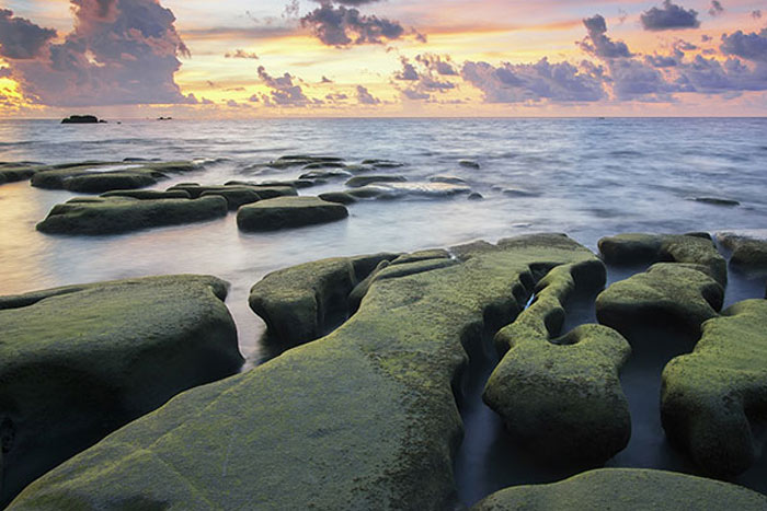 saumatic trauma therapy saumatic trauma therapy