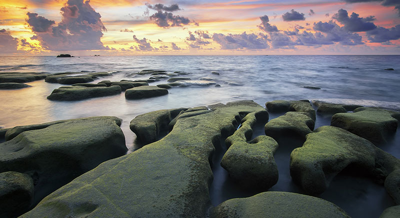 somatic trauma therapy brighton somatic trauma therapy brighton